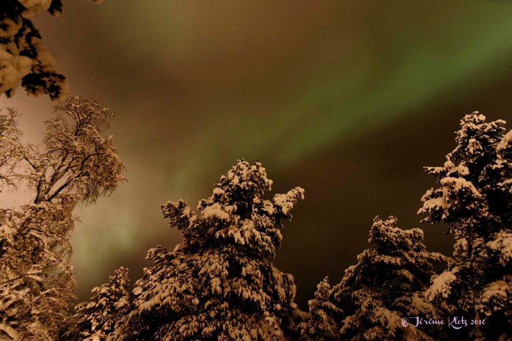 0002aurore2016