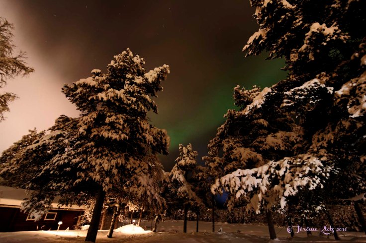 0005aurore2016