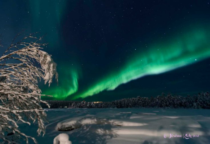 0011aurore2016