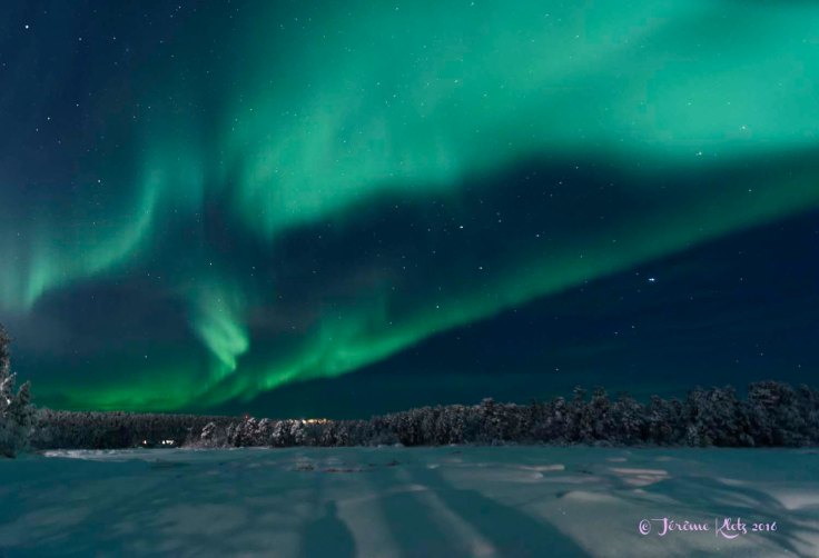 0015aurore2016