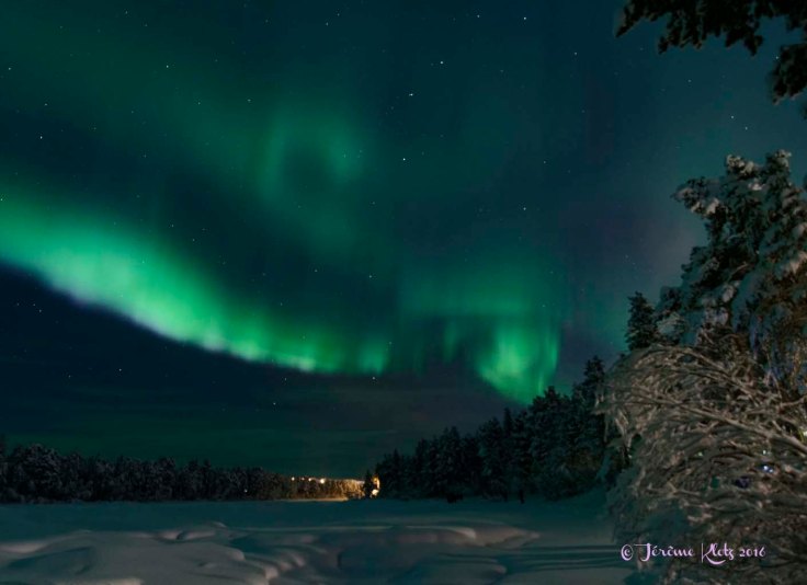 0017aurore2016