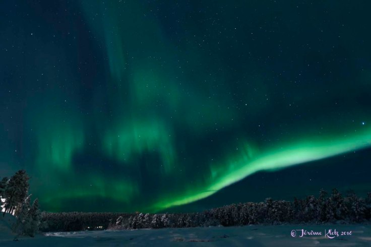 0020aurore2016