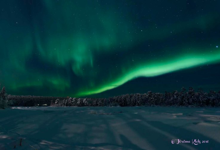 0021aurore2016