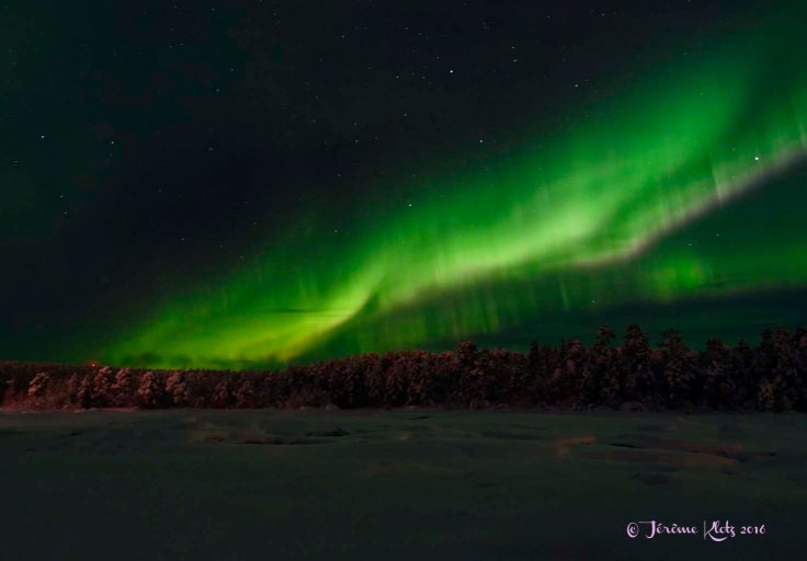 0032aurore2016