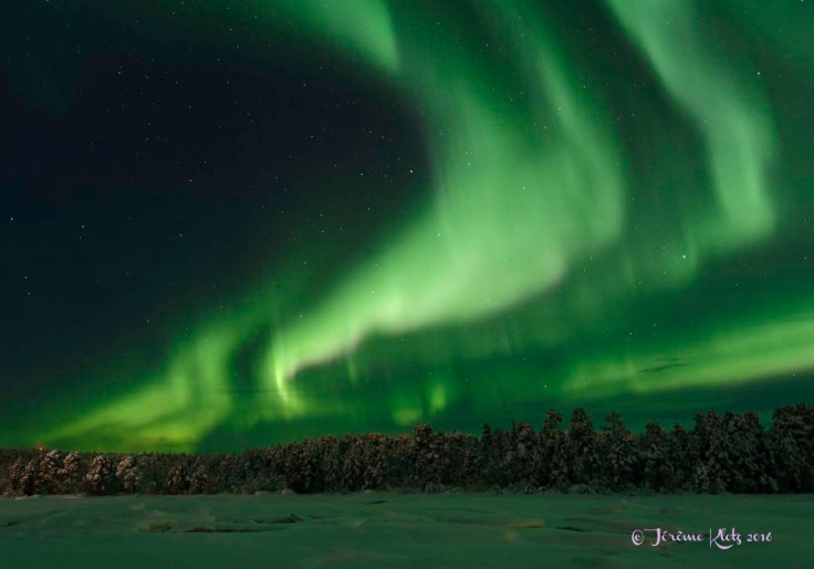 0037aurore2016