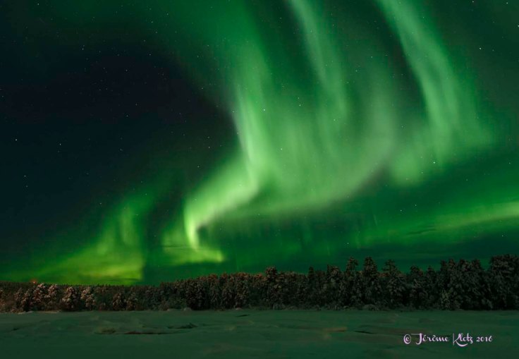 0038aurore2016