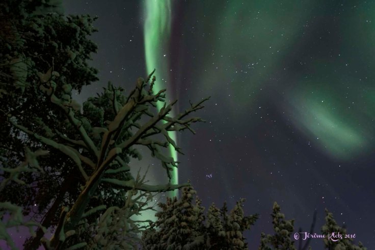 0039aurore2016