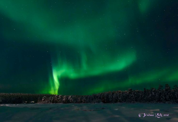 0045aurore2016