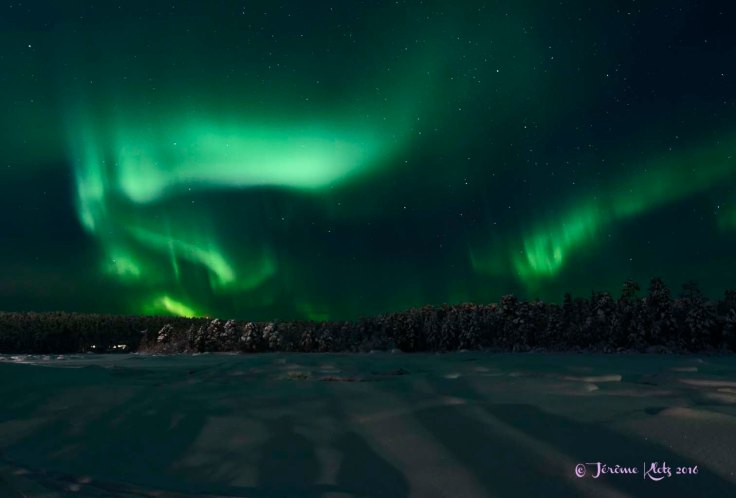 0049aurore2016