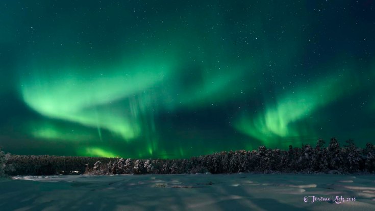 0050aurore2016