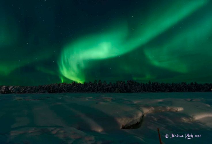 0054aurore2016