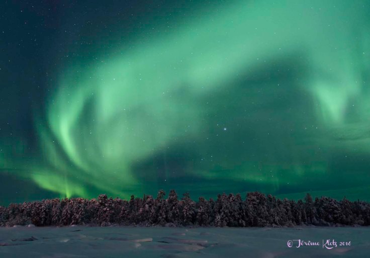 0057aurore2016