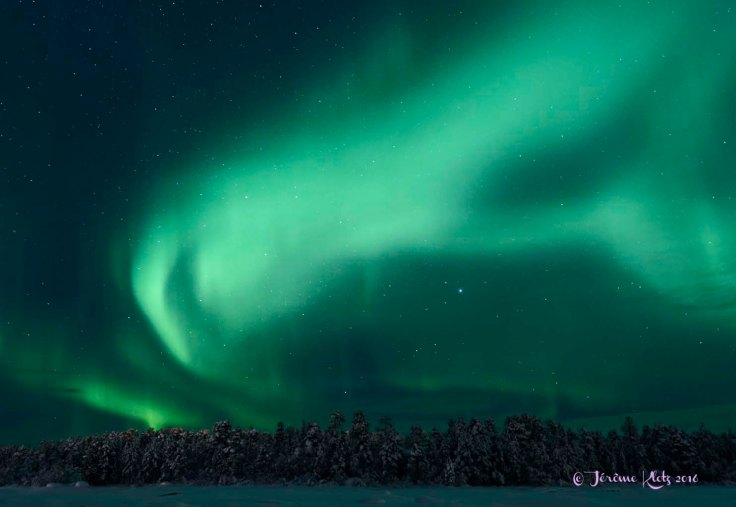 0058aurore2016