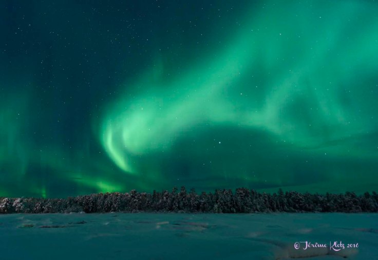 0059aurore2016