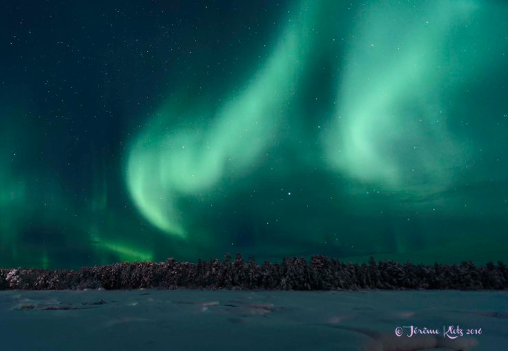 0060aurore2016