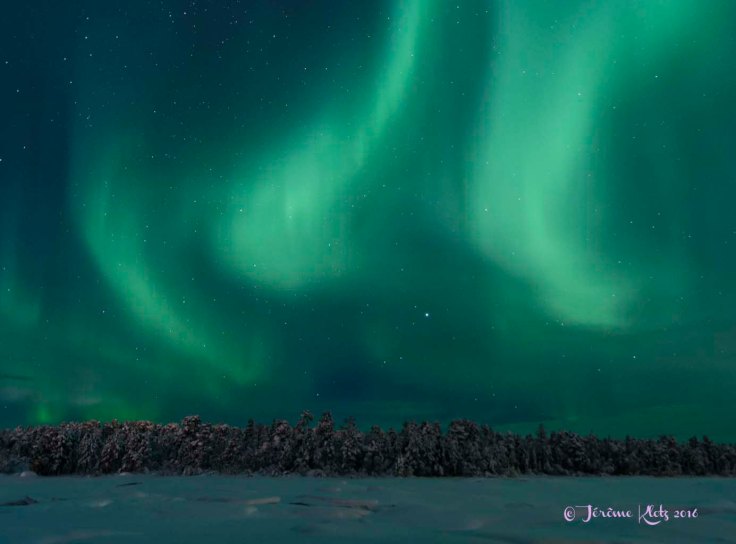 0061aurore2016