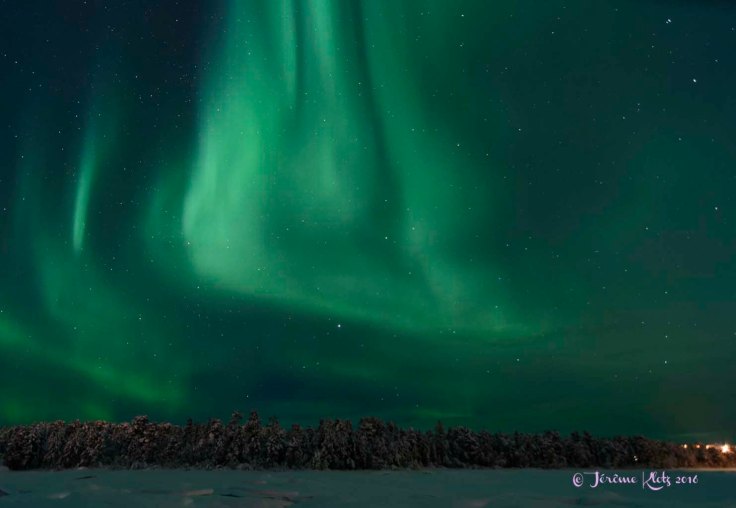 0063aurore2016